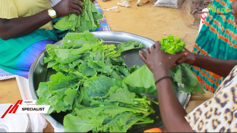 An Image Showing the Preparation Of Kales
