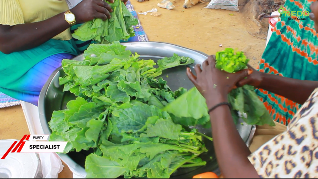 An Image Showing the Preparation Of Kales