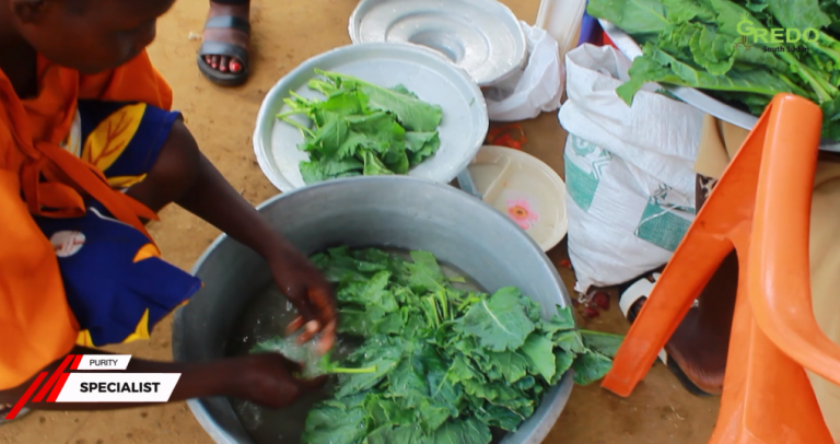 An Image Demonstrating Washing of Kales